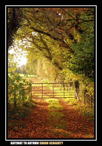 Gateway to Autumn